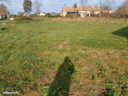 terrain constructible