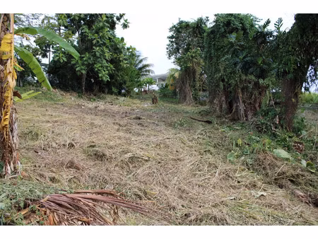 terrain à vendre la trinite 1075m2 120 000€