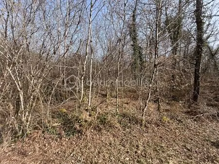 terrain boisé non constructible – la clotte