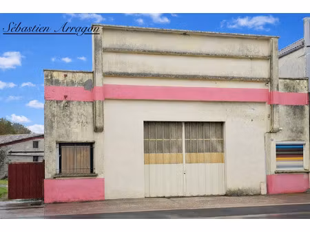 local professionnel à vendre villeneuve sur lot 4 pièce(s) 300m2 113 700€