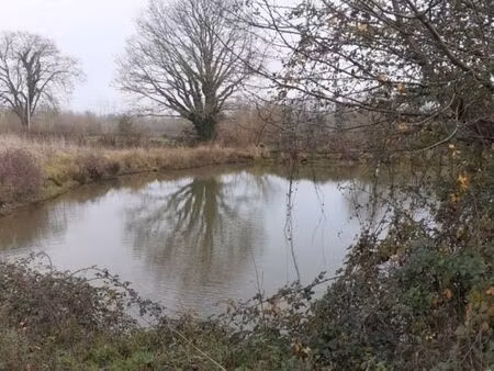 terrain de loisirs avec étang  idéal projet permaculturel