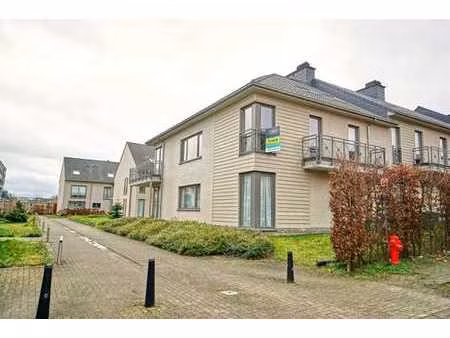 leeuw-saint-pierre - appartement 5 chambres