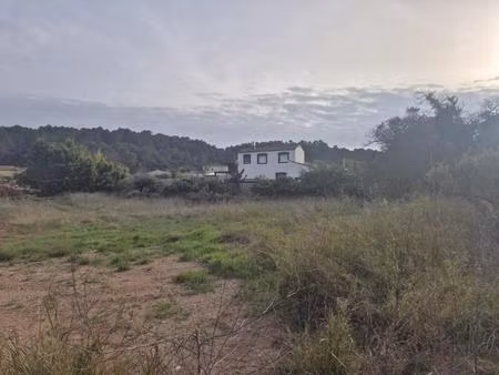 terrain constructible