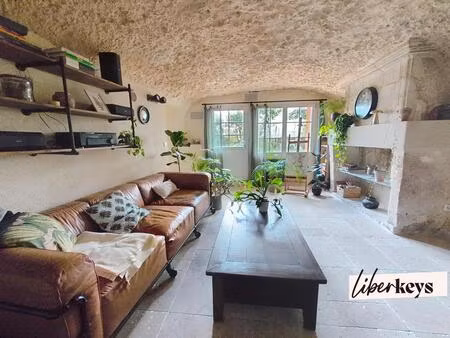 bien rare : maison troglodyte lumineuse avec terrasse et vue forêt à 20 min de tours