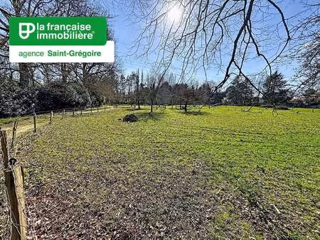 vente terrain à saint-grégoire (35760) : à vendre / 1531m² saint-grégoire
