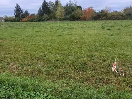 terrain constructible 735m² (façade 22.3ml) +possibilite de 2841m²