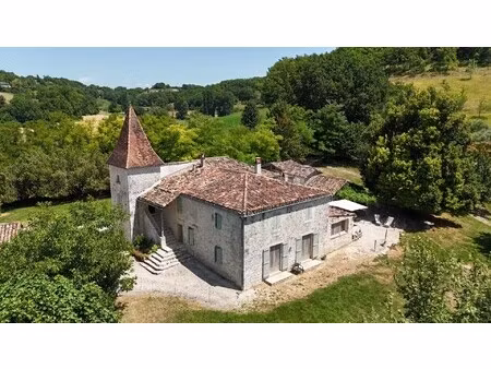 bien atypique castelnau-montratier - 5 chambres - 319m²