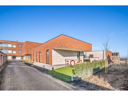 deze stijlvolle nieuwbouw rijwoning in de kanunnik darisstraat combineert een centrale lig