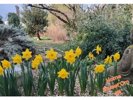 vente maison de ville 5 pièces 95 m2 à marmande