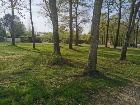 vente terrain 950 m² roaillan (33210)