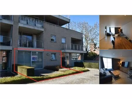 appartement à louer à driekruisenstraat 108 tongres (rbv40361)