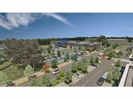 local d'activite a louer