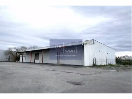 local d'activite a louer