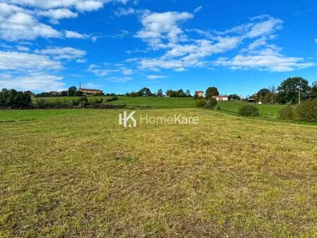 vente terrain 8000 m² le fousseret (31430)