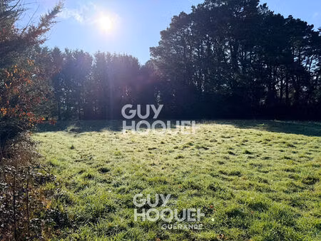 terrain saint lyphard 800 m2