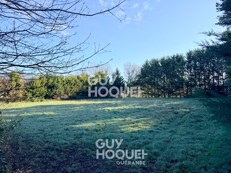 terrain saint lyphard 960m2