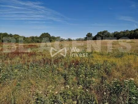 we invest bruno lazarenko