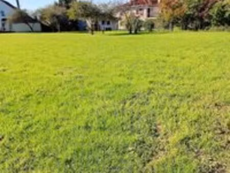 vente terrain 700 m² lescar (64230)