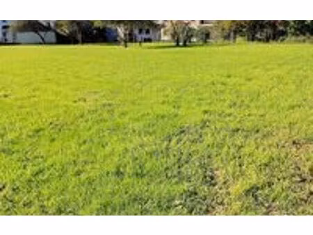 terrain lescar m² t- à vendre  105 000 €