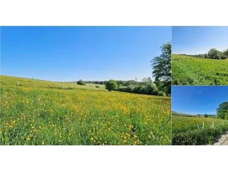 terrain à bâtir à vendre à rue des alleines 845d les hayons (vwd16841)