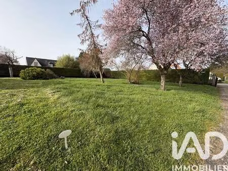 vente terrain à turquant (49730) : à vendre / 685m² turquant