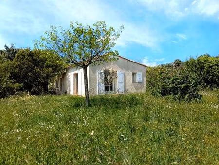 rare à la vente deux maisons en pleine nature sur 3 000 m2 à puyvert - spécial...