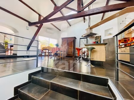 véritable loft 230 m2 - terrasses 30 m2 et double garage