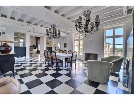 business château d'exception de 505 m²