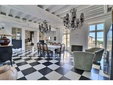 business château d'exception de 505 m²