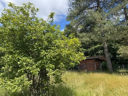 achat : terrain (85200)