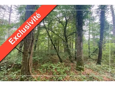 achat : maison (21700)