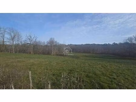 terrain champêtre/forestier à vendre