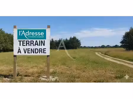 terrain constructible viabilisé à vendre