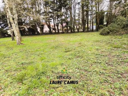 terrain constructible à vendre