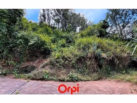 terrain salazie m² t- à vendre  295 000 €