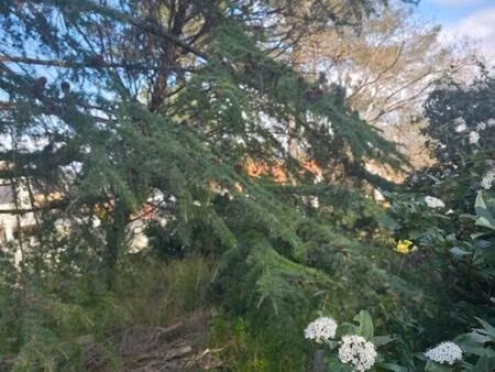 terrain constructible à vendre