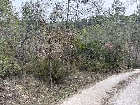 terrain boisé avec eau de ville barjols 83670
