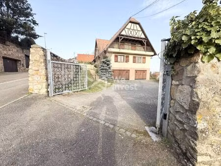 we invest sally sock