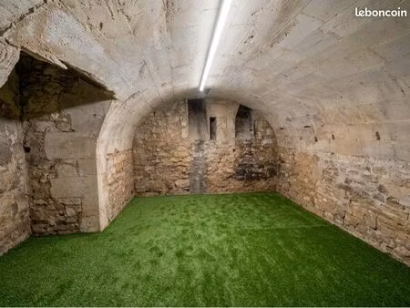 superbe cave / espace de stockage sécurisé 20 m² très sain - hypercentre