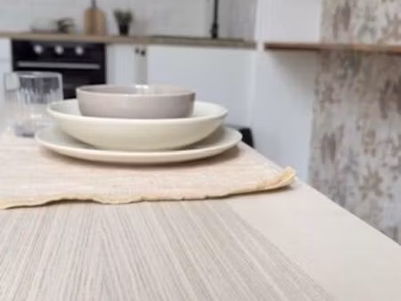 appartement t2 meublé - 2 pièces 40 m2 - 580 cc