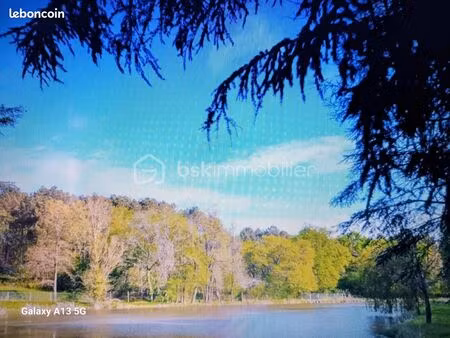 terrain 45 089 m² antran