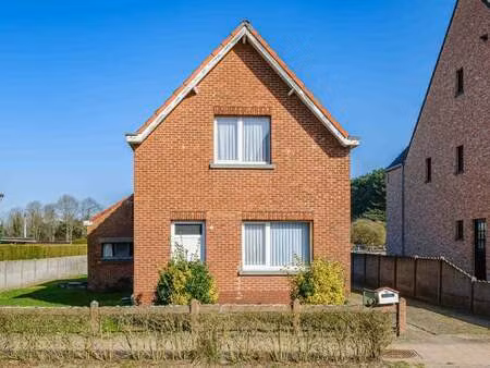 maison à vendre à lichtaart € 240.000 (llqo4) - jan stoel | zimmo