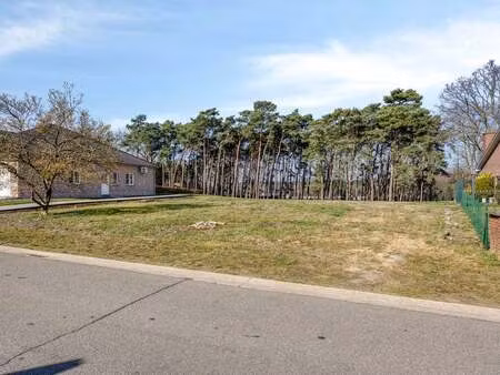 terrain à vendre à linkhout € 265.000 (llq32) - c21 sophimo | zimmo