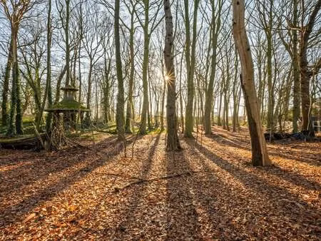 terrain à vendre à sint-niklaas € 625.000 (llqbl) - huysewinkel waasmunster | zimmo