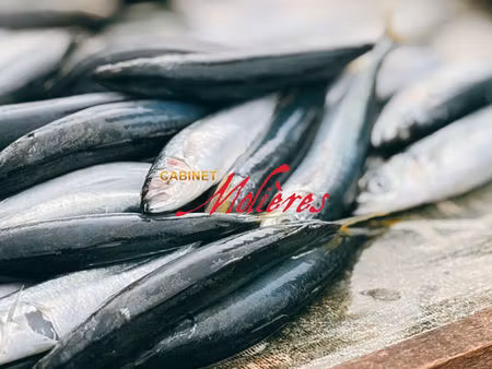 a vendre - fonds de commerce - poissonnerie toulouse 60 m2