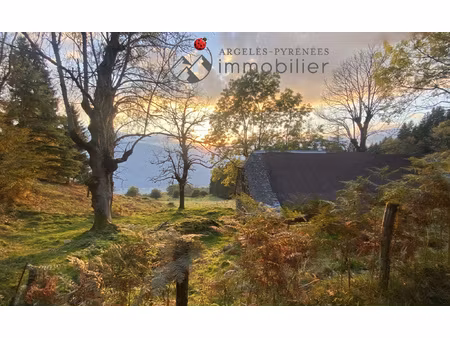 secteur hautacam : grange foraine sur 14890 m2 de terrain en