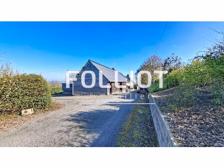 charmante maison en pierre à montabot - 4 pièces  grand terrain