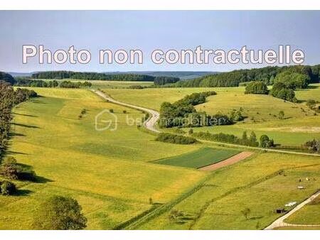 villejust 9140 terrain constructible de 1160 m2 -possibilité de division en 2 terrains. (s