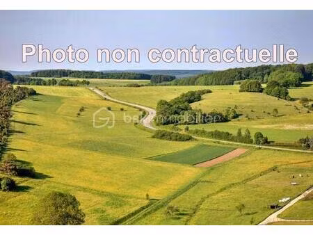 villejust 9140 terrain constructible de 1160 m2 (surface totale 2600m2)