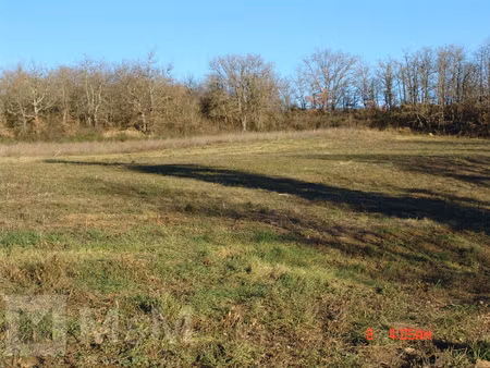 terrain agricole ou de loisirs ? prêt à exploiter !